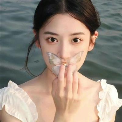 恋爱北极熊